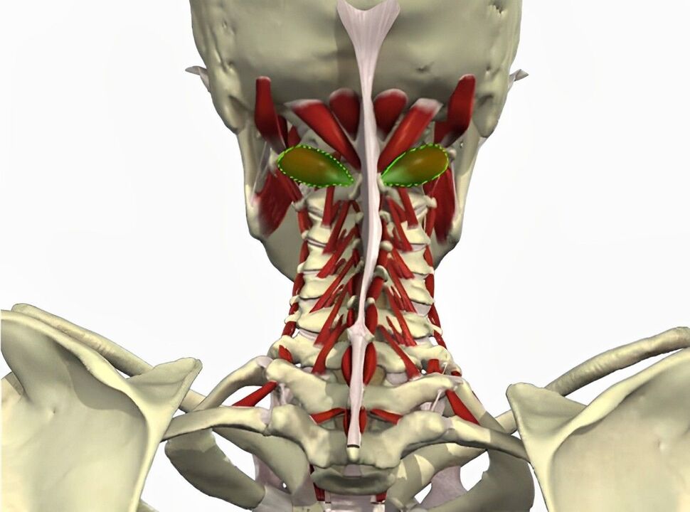 vertebral iṣọn-alọ ọkan